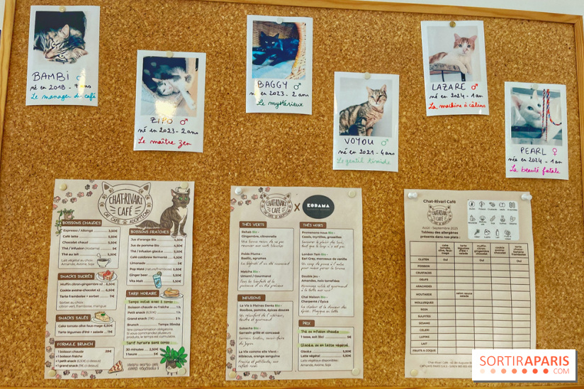 Chat-Rivari Café