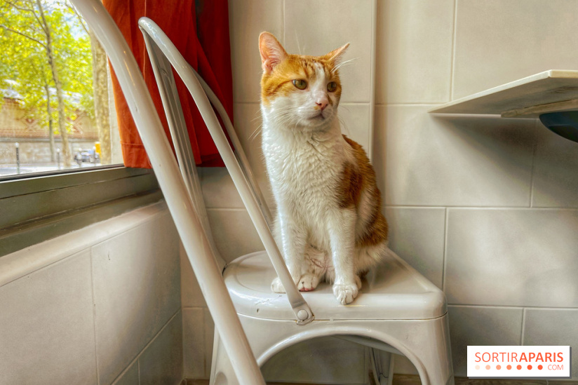Chat-Rivari Café