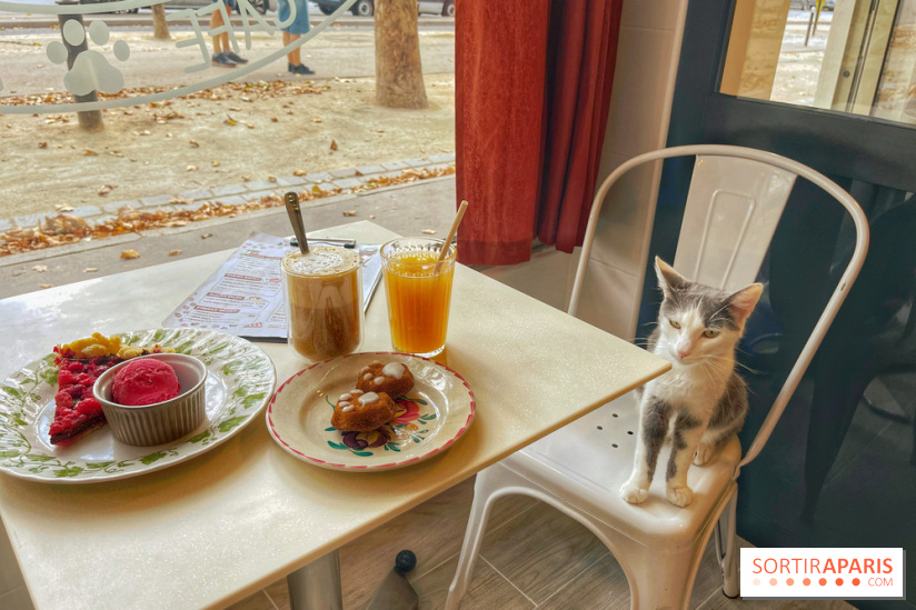 Chat-Rivari Café