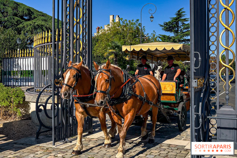 Tous en piste ! à Maisons-Laffitte (78): poneys, calèche et spectacles équestres gratuits au château