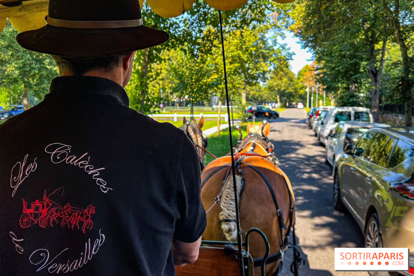 Tous en piste ! à Maisons-Laffitte (78): poneys, calèche et spectacles équestres gratuits au château