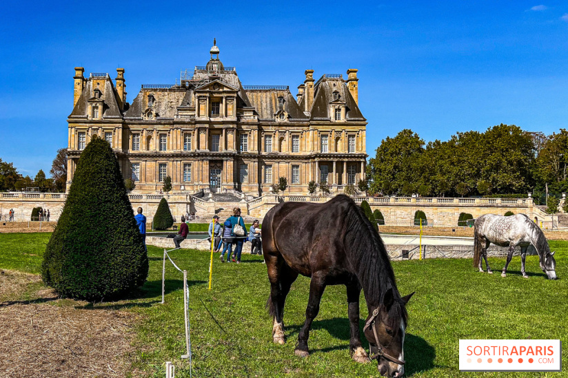 Tous en piste ! à Maisons-Laffitte (78): poneys, calèche et spectacles équestres gratuits au château