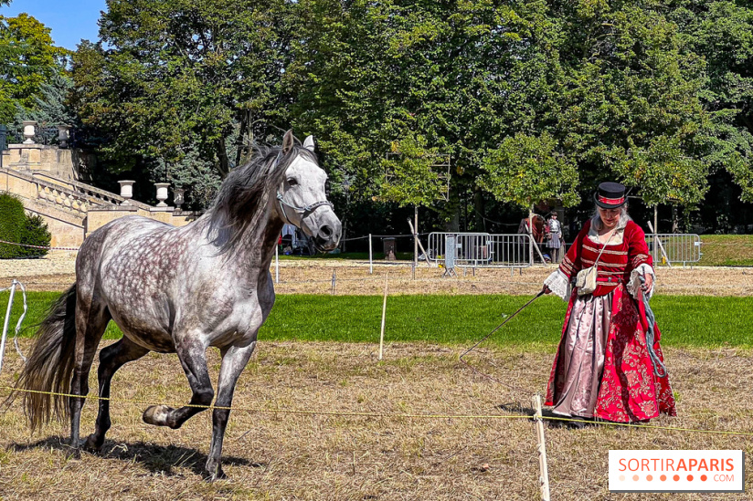 Tous en piste ! à Maisons-Laffitte (78): poneys, calèche et spectacles équestres gratuits au château