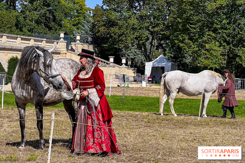 Tous en piste ! à Maisons-Laffitte (78): poneys, calèche et spectacles équestres gratuits au château - IMG 8340 jpg