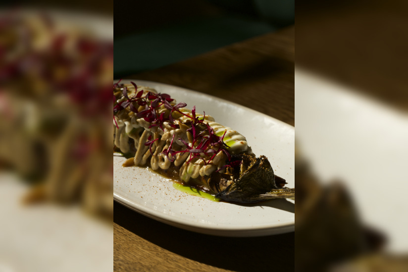 Canopé : la table gastronomique chic et végétale incontournable du 8eme arrondissement de Paris