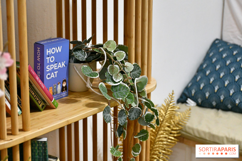 Koneko Work : le café coworking pour travailler en compagnie des chats - DSC 5244