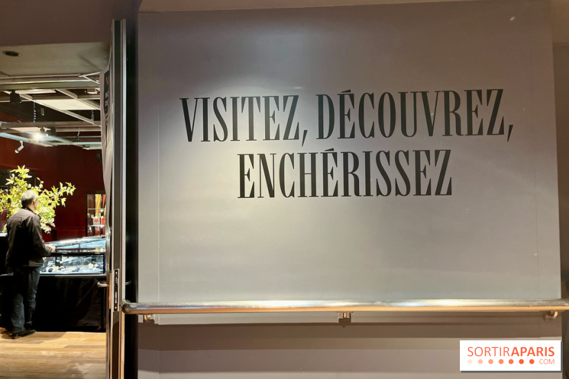 Hôtel Drouot - IMG 5171