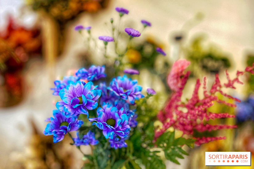 Les filles d'à côté - IMG 5229