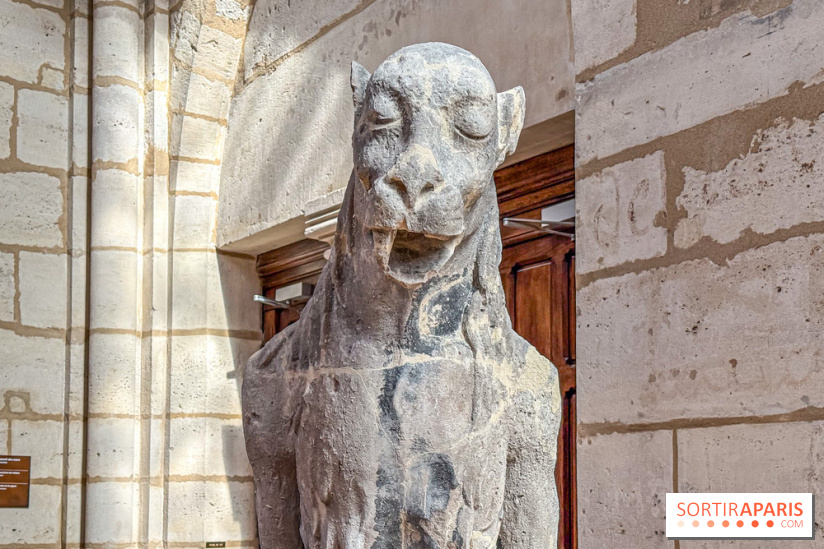 Visite des tours de Notre-Dame de Paris - IMG 7440