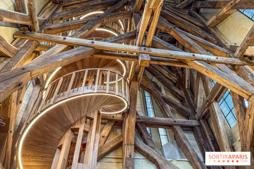 Visite des tours de Notre-Dame de Paris - IMG 7450