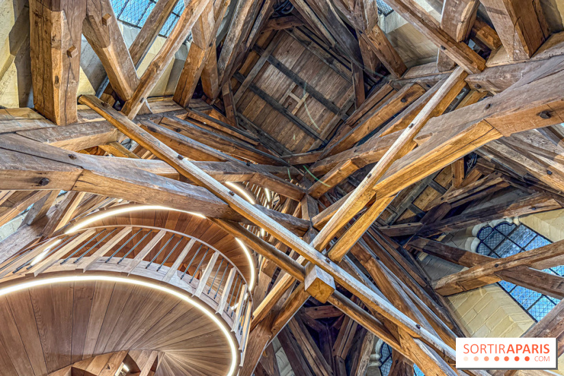 Visite des tours de Notre-Dame de Paris - IMG 7452