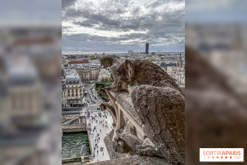 Visite des tours de Notre-Dame de Paris - IMG 7458