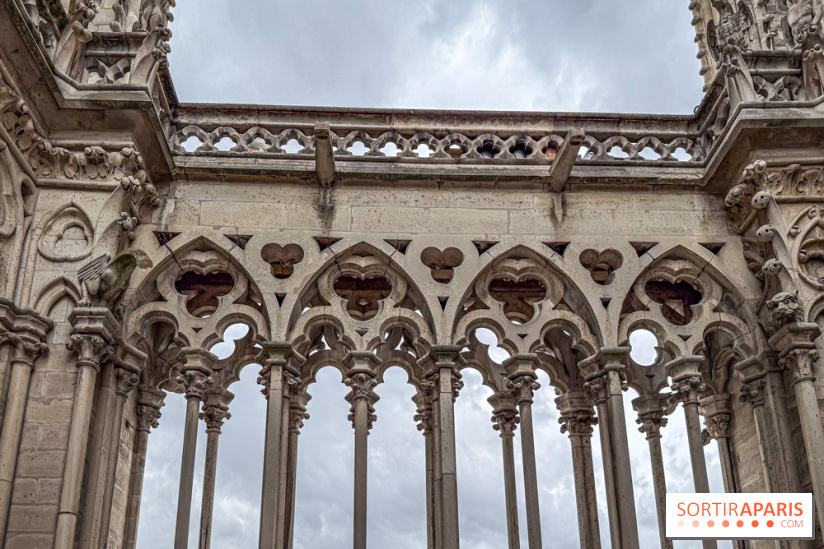 Visite des tours de Notre-Dame de Paris - IMG 7504