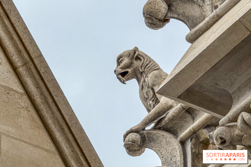 Visite des tours de Notre-Dame de Paris - IMG 7508