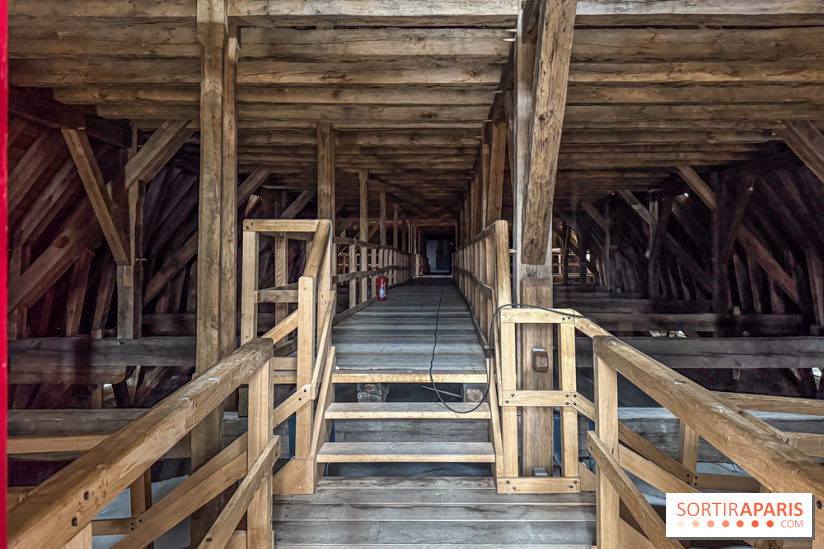 Visite des tours de Notre-Dame de Paris - IMG 7511