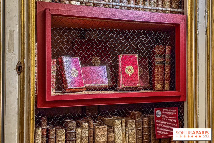 Exposition “Excellences !” à la Bibliothèque Choiseul de Versailles - IMG 7563