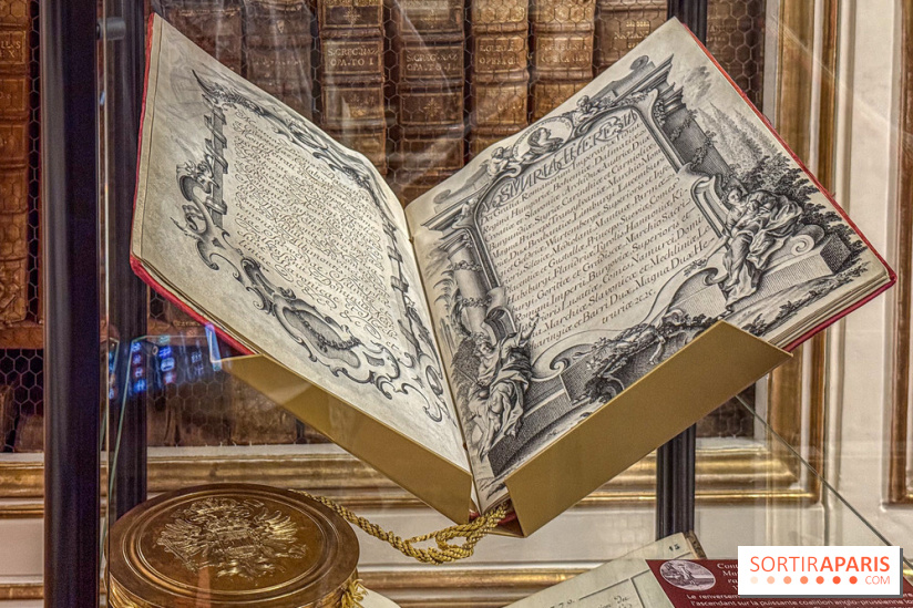 Exposition “Excellences !” à la Bibliothèque Choiseul de Versailles - IMG 7624