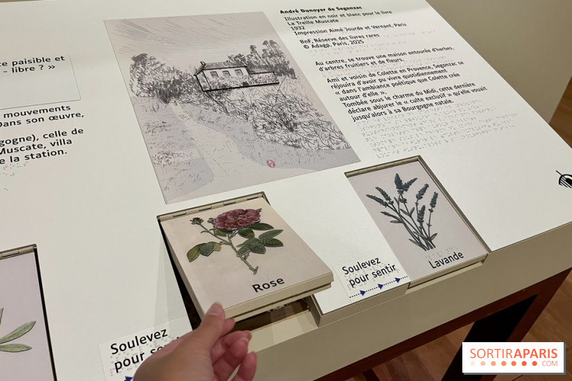 Les mondes de Colette - IMG 5323