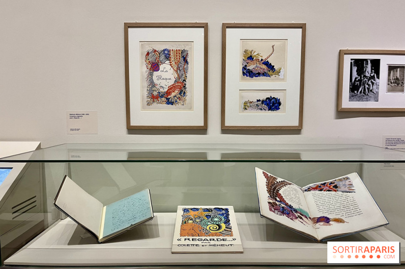 Les mondes de Colette - IMG 5326