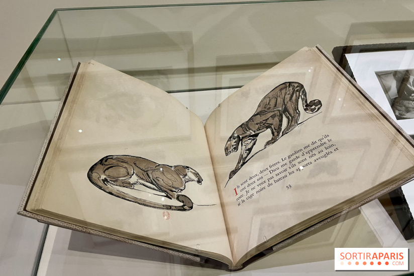 Les mondes de Colette - IMG 5333