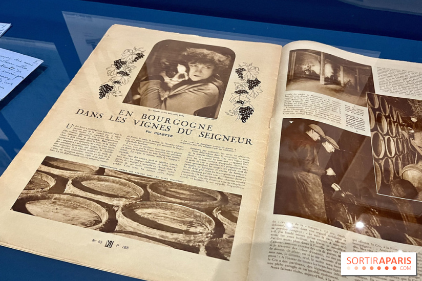 Les mondes de Colette - IMG 5371