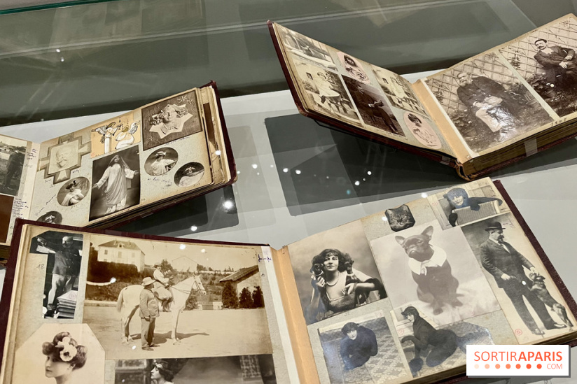 Les mondes de Colette