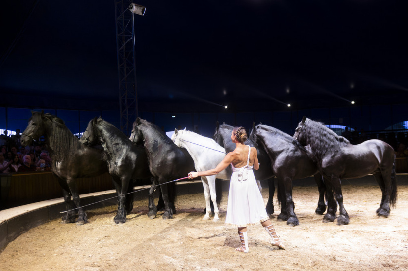 Campagne #35169 - FG 09 07 2025 OBRAJON 0066