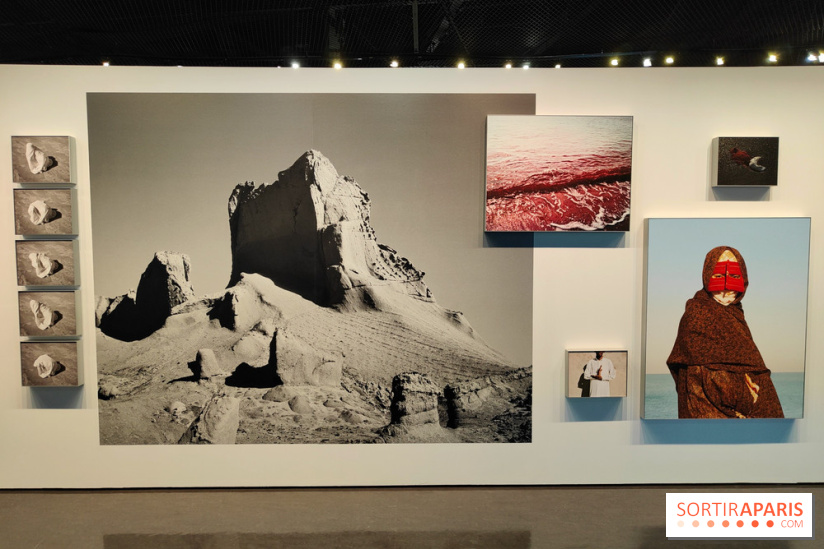 Honda Afshar, performer l'invisible : une exposition photo au musée du Quai Branly - fotor 1759154799777