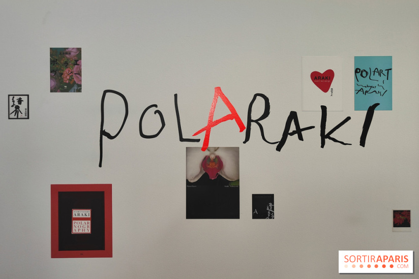 荒木経惟の1000枚のポラロイド「ポララキ」：ギメ美術館の展覧会が公開