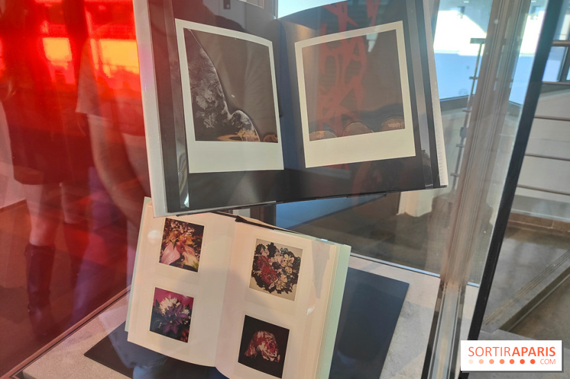 Polaraki, mille polaroids d'Araki Nobuyoshi : l'exposition du musée Guimet se dévoile