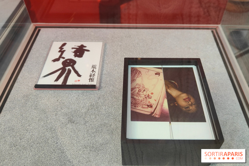 Polaraki, mille polaroids d'Araki Nobuyoshi : l'exposition du musée Guimet se dévoile