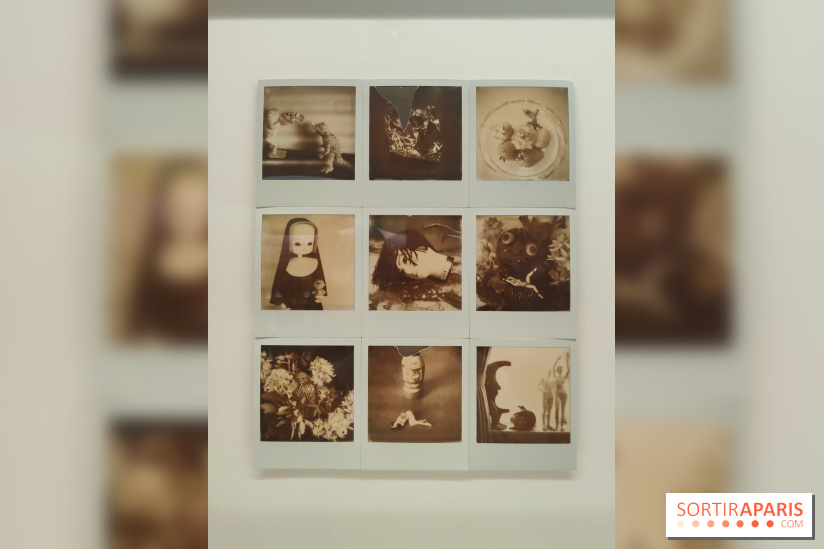 Polaraki, mille polaroids d'Araki Nobuyoshi : l'exposition du musée Guimet se dévoile - fotor 1759249600397