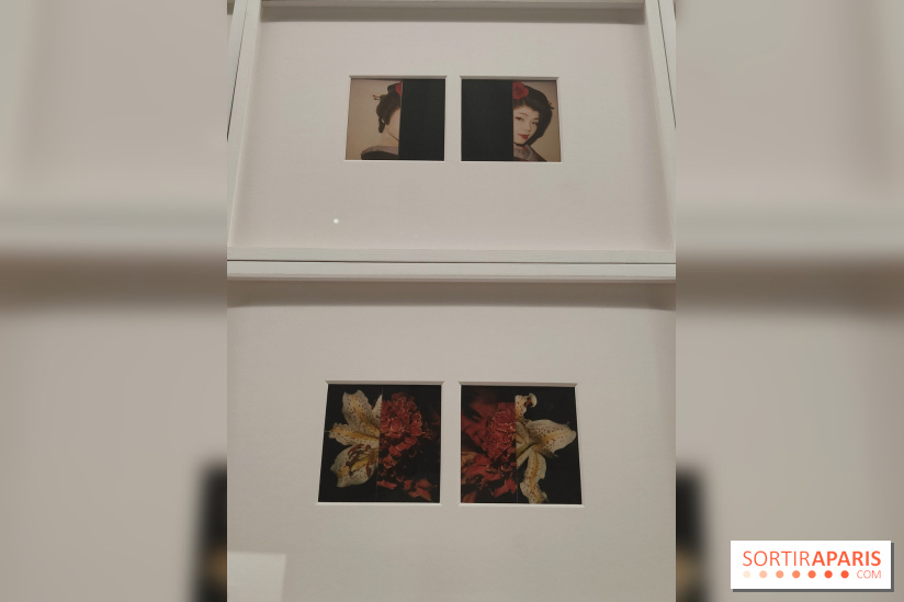 Polaraki, mille polaroids d'Araki Nobuyoshi : l'exposition du musée Guimet se dévoile - fotor 1759249641214