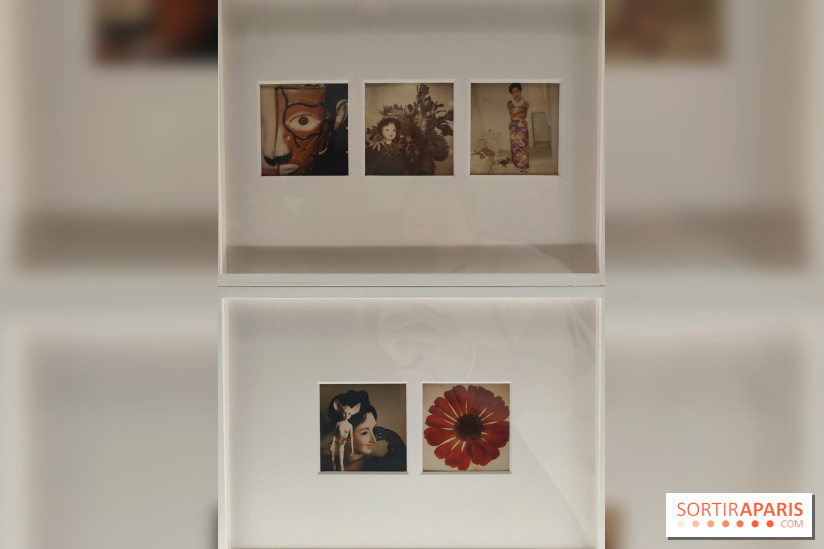 Polaraki, mille polaroids d'Araki Nobuyoshi : l'exposition du musée Guimet se dévoile - fotor 1759249674126