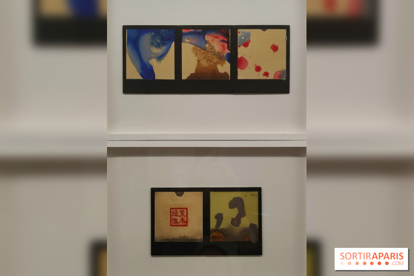 Polaraki, mille polaroids d'Araki Nobuyoshi : l'exposition du musée Guimet se dévoile - fotor 1759249727646