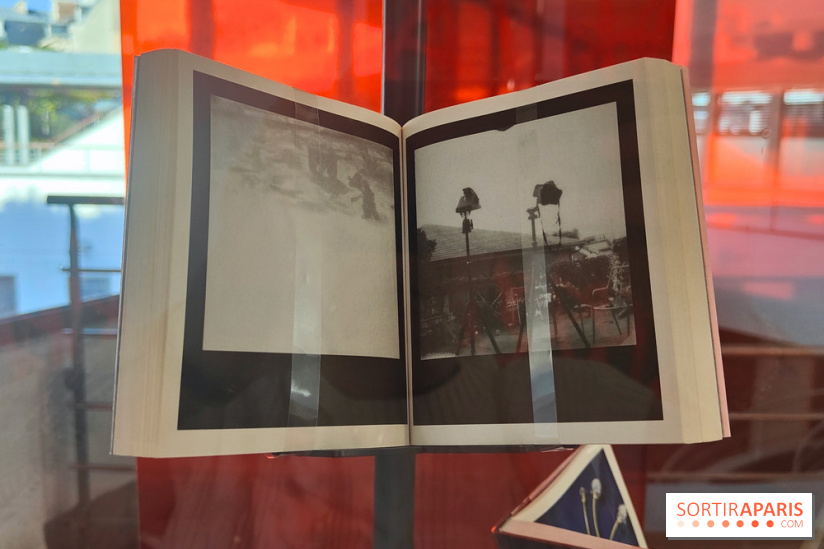 Polaraki, mille polaroids d'Araki Nobuyoshi : l'exposition du musée Guimet se dévoile