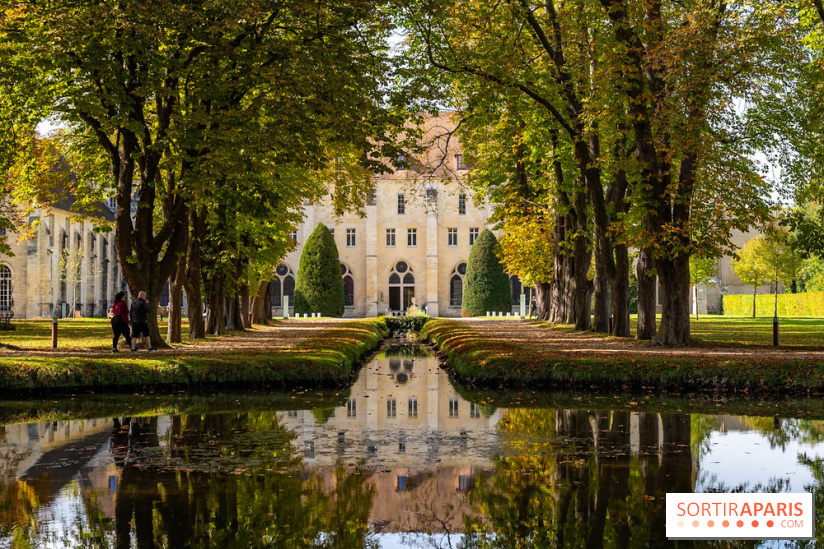 Les spectacles du dimanche de l'Abbaye de Royaumont dans le Val-d'Oise - A7C08466