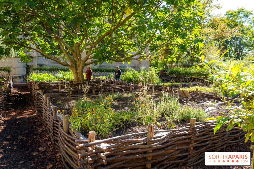 Les spectacles du dimanche de l'Abbaye de Royaumont dans le Val-d'Oise - A7C08415