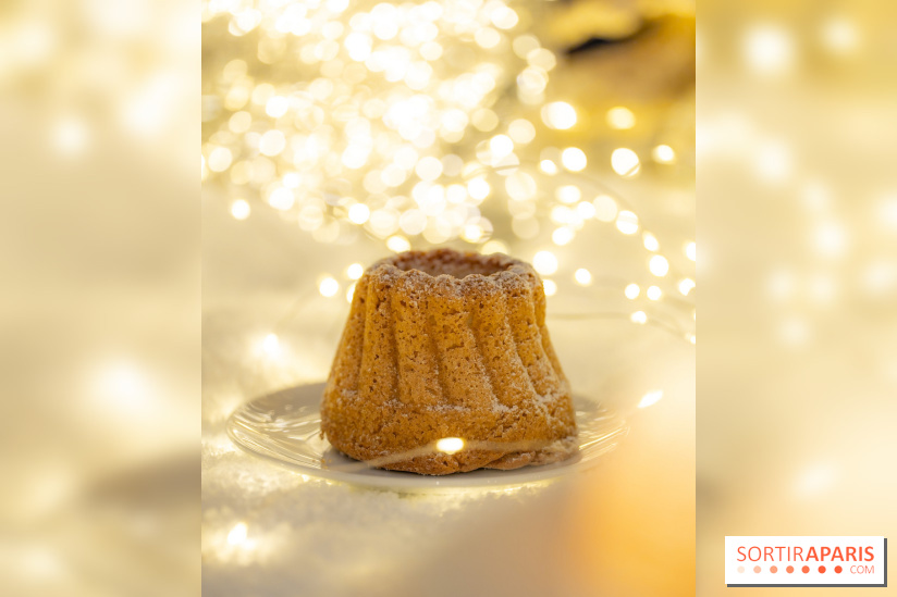 la Bûche de Noêl du Mandarin Oriental Lutetia aux Lumières de Paris - A7C08083