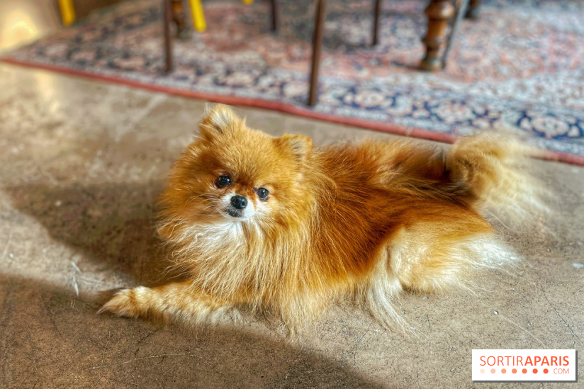 Etagère Café - IMG 5846