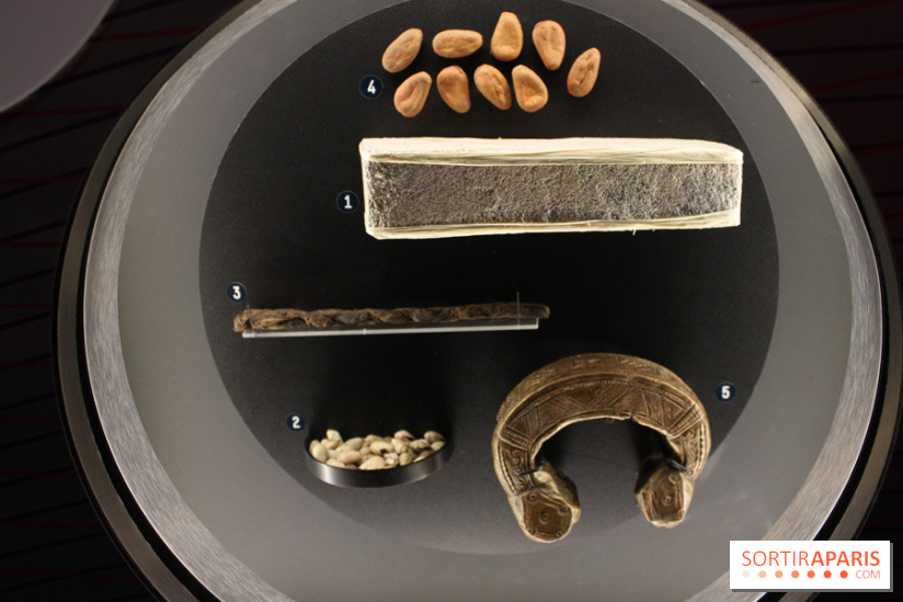 Monnaie primitive - L'Expo l'Economie : krach, boom, mue à la Cité des Sciences