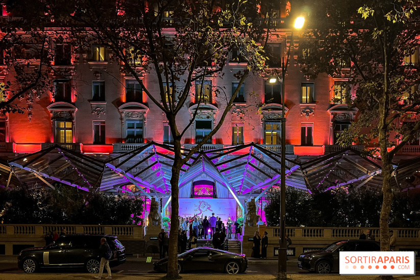 Gala des Bonnes Fées 2025 au Peninsula - A4913133 306B 42FB B5DE 63D5BF62BE4D