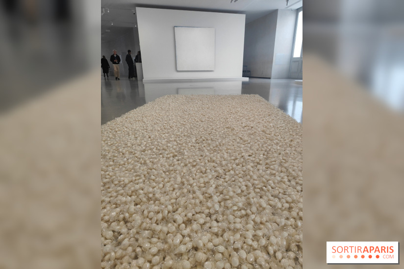 Minimal, quand l'art va à l'essentiel : l'exposition de la Bourse de Commerce se dévoile