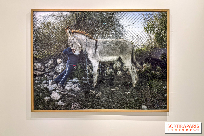 Exposition Luc Delahaye au Jeu de Paume : la grande rétrospective à ne pas manquer - IMG 9118