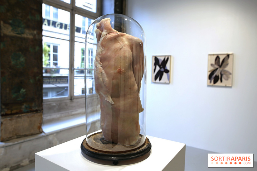 Berlinde De Bruyckere : nos photos de son exposition 'Need' à la Galleria Continua 