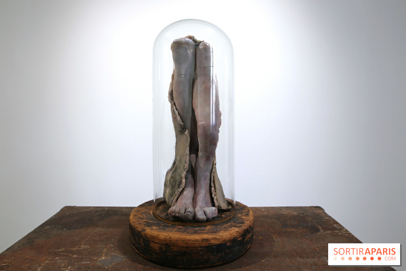 Berlinde De Bruyckere : nos photos de son exposition 'Need' à la Galleria Continua 