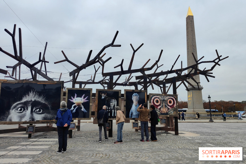 Photoclimat : derniers jours pour la biennale artistique place de la Concorde à Paris