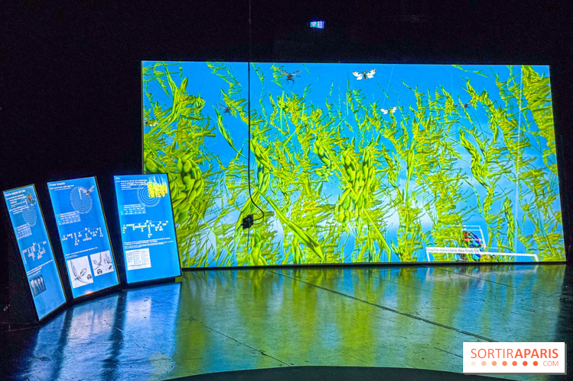 Exposition Les Illusions retrouvées au CENTQUATRE-Paris : les nouvelles utopies de l’ère numérique - IMG 9245