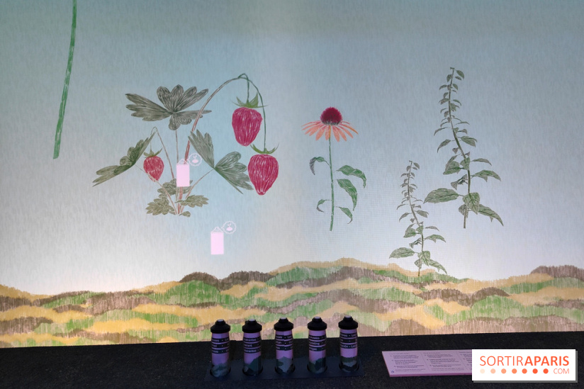 Jardiner : une exposition au cœur de la nature à vivre à la Cité des Sciences et de l'Industrie - fotor 1760436618061