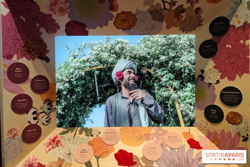 Jardiner : une exposition au cœur de la nature à vivre à la Cité des Sciences et de l'Industrie - fotor 1760436712730